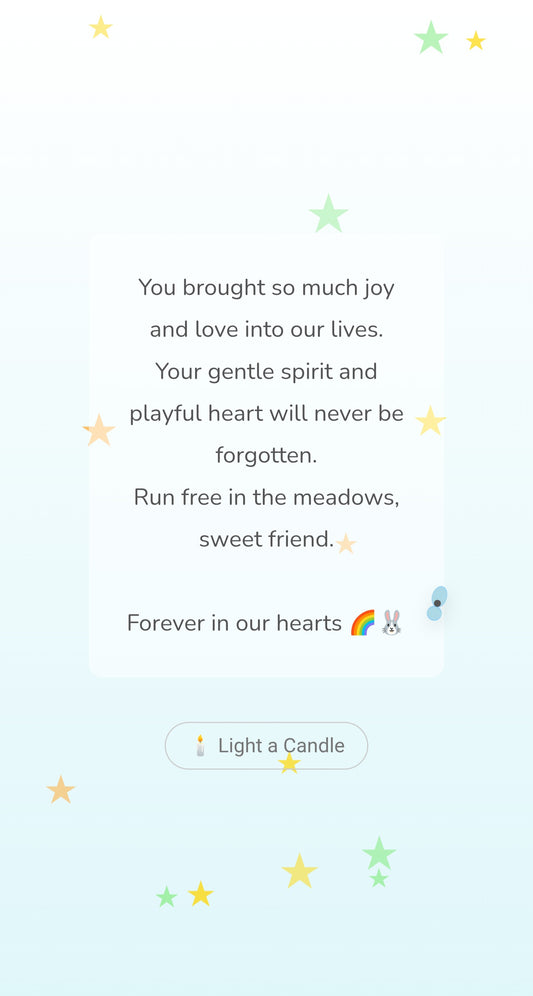 Digital Surprise 'prayer'  - inquiry